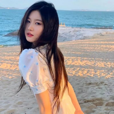历史的总和