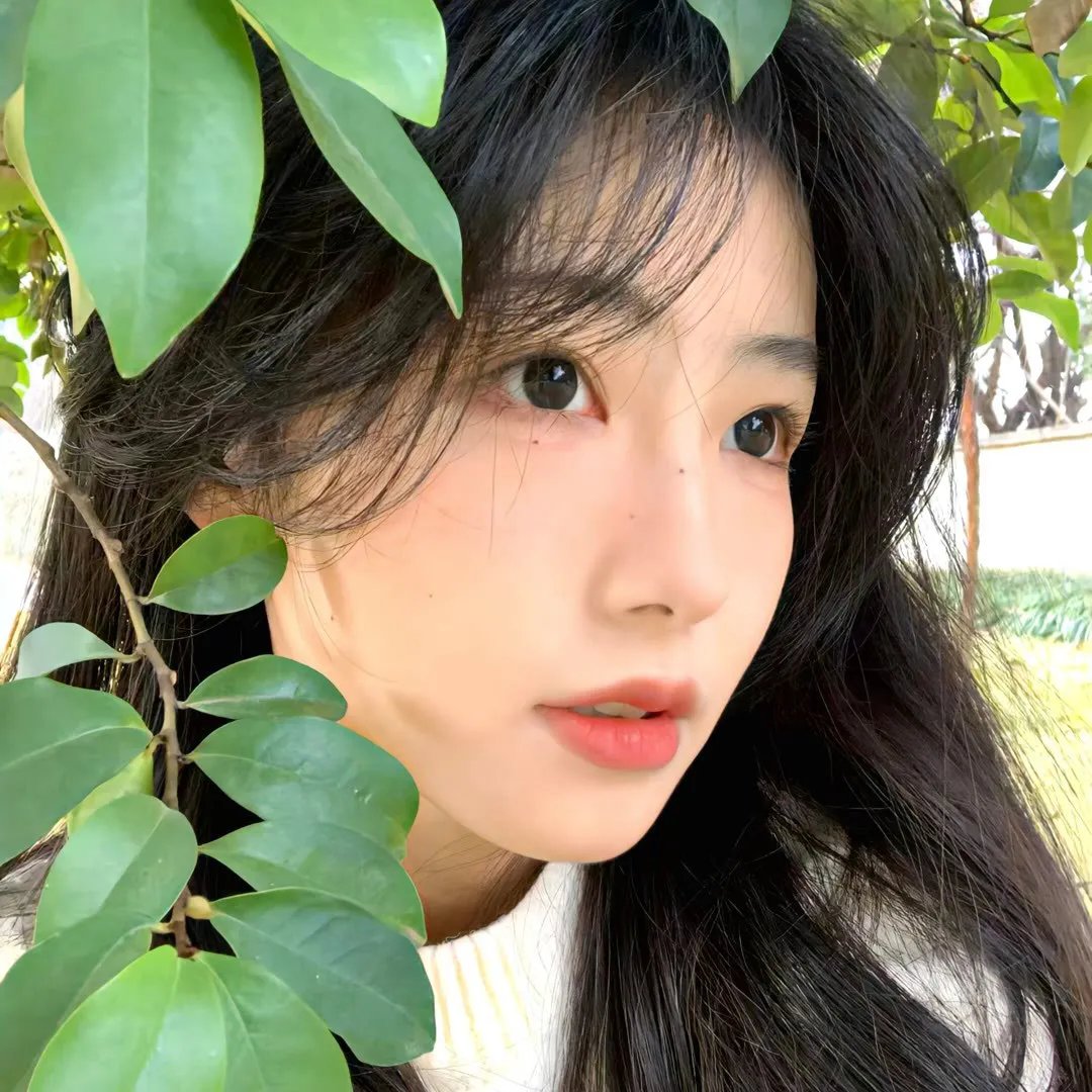 回到首尔